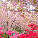 동완산마트