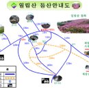 오르리 이미지