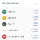 다올미르 이미지