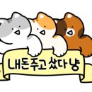 조연탄 기다리면 돼지 이미지