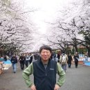 우에노공원 벚꽃 구경 (2007.3.30 - 4.1) 이미지