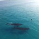 고래 당구장 이미지