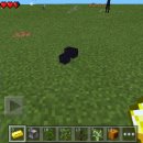 럭키포켓 이미지