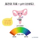 도로시여성의원 이미지