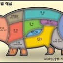 돼지에서 소까지 이미지