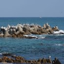 노음교차로 이미지