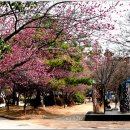 순천의료원공원 이미지