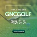 브라질스크린골프 네이버블로그