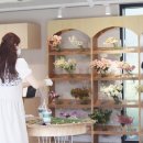 성수동마켓