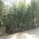 마을회관 정자옆 이미지