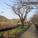 수원팔색길 지게길 이미지