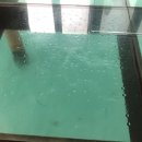 대한건기 | [몰디브] 로빈슨 클럽 몰디브 건기 여행 후기 (건기 우기 강수량 강수일수, 체류기간 실제 날씨정보 포함)