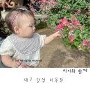 달성하빈카 | 대구 하목정 아기랑갈만한곳 하빈으로 가족나들이