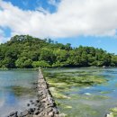 서귀포종합문예회관 | 제주 가볼만한곳 오조포구 웰컴투 삼달리 촬영지로 유명한 보석같은 장소