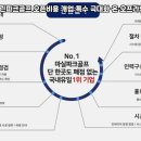 화려한마실