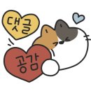 수성축산물직판장 이미지