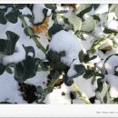 하늘내린 게스트하우스 이미지