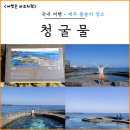용천수 | 제주 용천수 스노쿨링 장소 추천 청굴물 물때 주차 후기