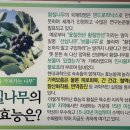 상림기러기 이미지