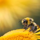 명의한의원 이미지