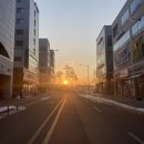 베리핏(VERY FIT) 이미지