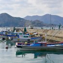 거제의 봄 - 수선화의 고향, 공곶이 이미지