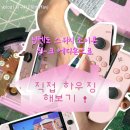 조이콘 | 핑크닌텐도 만들기 :: 유튜브 보고 직접 해본 닌텐도 스위치 조이콘 하우징(하는 법, 후기, 구매링크)