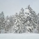 섬나라하얀집 이미지