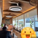 면가온 | 서울 양천구/오목교 평양냉면 찐맛집 '면가온' 솔직후기(메뉴/내부/내돈내산)