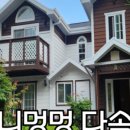 퍼니멍멍다솜점