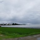 녹지공인중개사사무소 이미지