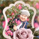 가야대학교 행정대학원(김해) 이미지