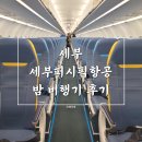 퍼시픽 | 세부 항공권 가격 세부퍼시픽항공 후기 세부 밤비행기