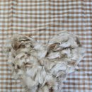 냥스터치 이미지