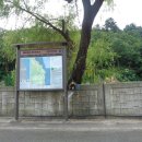 장호초등학교 Daum카페