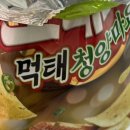 터틀문구점 | [3월]맞춤법이란