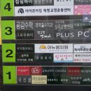 성주핏