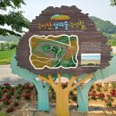 녹색길 이미지