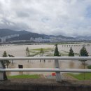 낙동강관리본부 대저생태공원 5 이미지