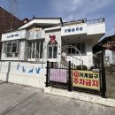 내친구고양이 | [취미] 2026.03.05 대구 오묘고양이카페호텔미용 메인쿤이 있는 대구고양이카페 방문 후기