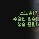 주왕산황토방 | 청송 숙소 추천 | 소노벨 청송 애플펜션 비교 | 주왕산 온천 가성비 펜션 | 실제 후기 완벽 정리 꿀팁