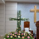 성전농장 이미지