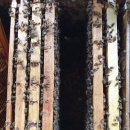 내검농장 이미지