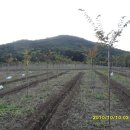 느티나무농원 이미지