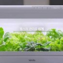 교원농장 이미지