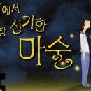 나들아이 이미지