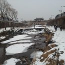 금빛환경 이미지