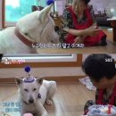 본우리집밥 한국고전번역원점 | 우리는 무너졌고 엉터리였고 그렇게 7월이 지나가고