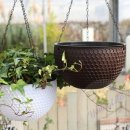 영라이프 이미지