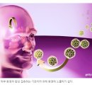 J0191 이미지